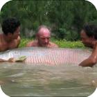 Рыбалка в Таиланде